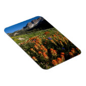 VS, Utah, Uinta-Wasatch-Cache National Forest Magneet (Rechterzijde)