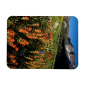 VS, Utah, Uinta-Wasatch-Cache National Forest Magneet (Horizontaal)