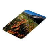 VS, Utah, Uinta-Wasatch-Cache National Forest Magneet (Linkerzijde)