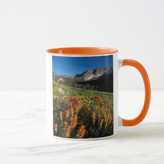 VS, Utah, Uinta-Wasatch-Cache National Forest Mok (Rechts)