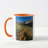 VS, Utah, Uinta-Wasatch-Cache National Forest Mok (Links)