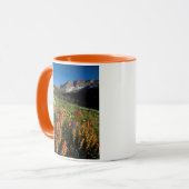 VS, Utah, Uinta-Wasatch-Cache National Forest Mok (Voorkant links)