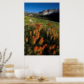 VS, Utah, Uinta-Wasatch-Cache National Forest Poster (Keuken)