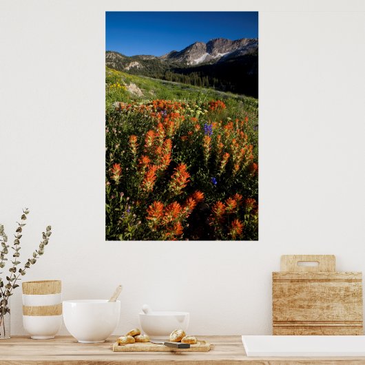 VS, Utah, Uinta-Wasatch-Cache National Forest Poster (Keuken)