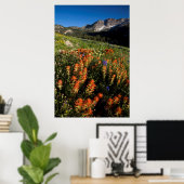 VS, Utah, Uinta-Wasatch-Cache National Forest Poster (Thuiskantoor)