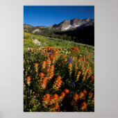 VS, Utah, Uinta-Wasatch-Cache National Forest Poster (Voorkant)