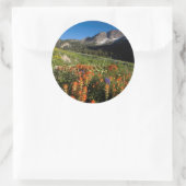 VS, Utah, Uinta-Wasatch-Cache National Forest Ronde Sticker (Tas)