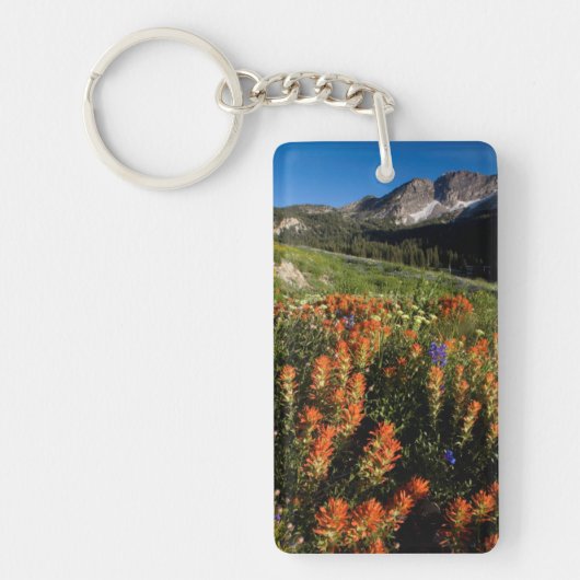 VS, Utah, Uinta-Wasatch-Cache National Forest Sleutelhanger (Voorkant)