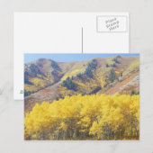 VS, Utah, Wasatch-Cache Nationaal Bos, Briefkaart (Voorkant / Achterkant)