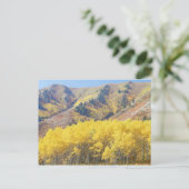 VS, Utah, Wasatch-Cache Nationaal Bos, Briefkaart (Staand voorkant)