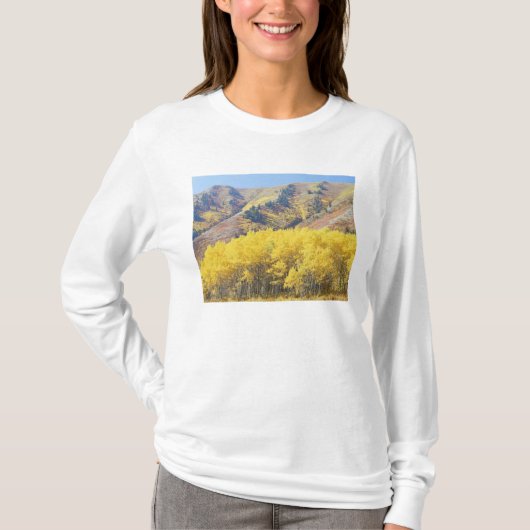 VS, Utah, Wasatch-Cache Nationaal Bos, T-shirt (Voorkant)