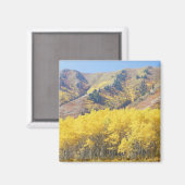VS, Utah, Wasatch-Cache National Forest, Magneet (Voorkant / Achterkant)