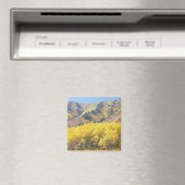 VS, Utah, Wasatch-Cache National Forest, Magneet (Insitu (Vaatwasser))