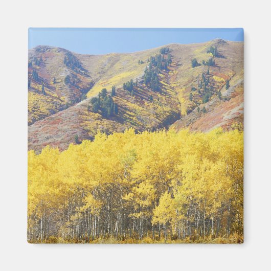 VS, Utah, Wasatch-Cache National Forest, Magneet (Voorkant)