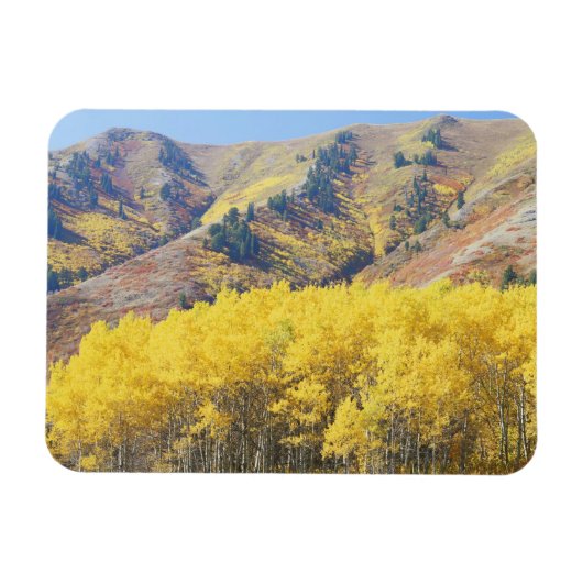 VS, Utah, Wasatch-Cache National Forest, Magneet (Horizontaal)