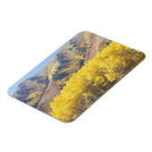 VS, Utah, Wasatch-Cache National Forest, Magneet (Linkerzijde)