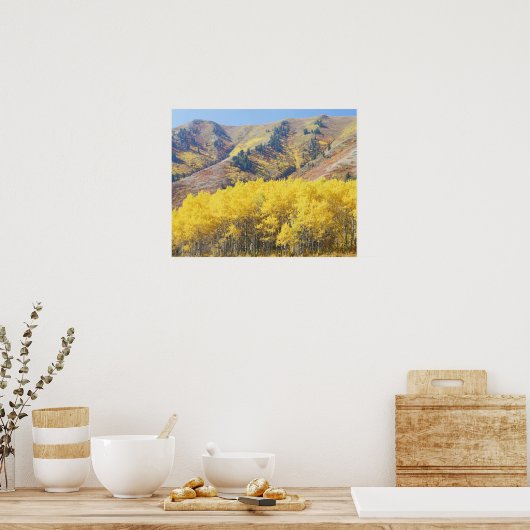 VS, Utah, Wasatch-Cache National Forest, Poster (Keuken)