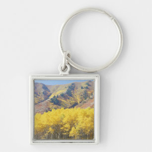 VS, Utah, Wasatch-Cache National Forest, Sleutelhanger