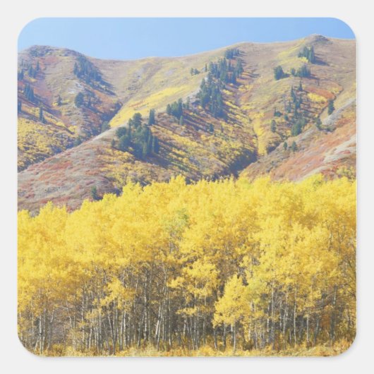 VS, Utah, Wasatch-Cache National Forest, Vierkante Sticker (Voorkant)