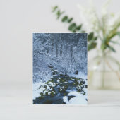 VS, Utah, Wasatch-Catch National Forest, Briefkaart (Staand voorkant)