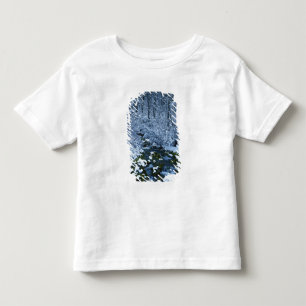 VS, Utah, Wasatch-Catch National Forest, Kinder Shirts