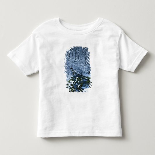 VS, Utah, Wasatch-Catch National Forest, Kinder Shirts (Voorkant)