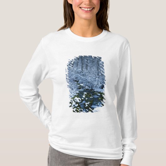 VS, Utah, Wasatch-Catch National Forest, T-shirt (Voorkant)