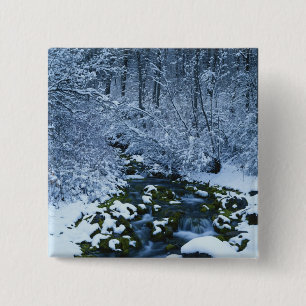 VS, Utah, Wasatch-Catch National Forest, Vierkante Button 5,1 Cm