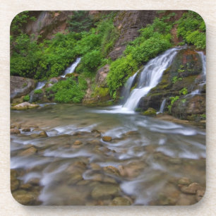 VS, Utah, Zion National Park.  Big Springs in Bier Onderzetter