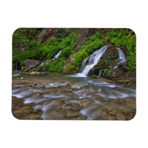 VS, Utah, Zion National Park.  Big Springs in Magneet
