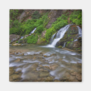 VS, Utah, Zion National Park.  Big Springs in Magneet