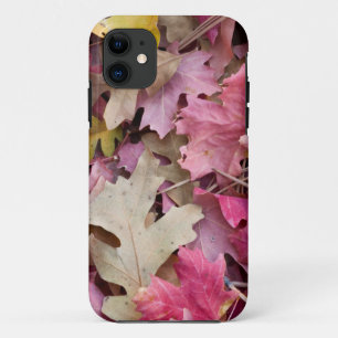 VS, Utah, Zion National Park Case-Mate iPhone Case