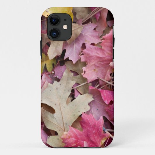 VS, Utah, Zion National Park Case-Mate iPhone Case (Achterkant)