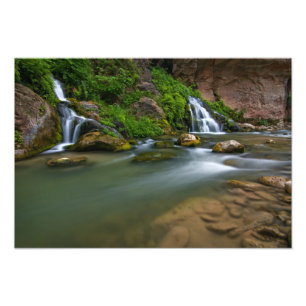 VS, Utah, Zion National Park. De Virgin Foto Afdruk