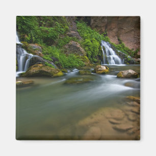 VS, Utah, Zion National Park. De Virgin Magneet