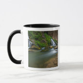 VS, Utah, Zion National Park. De Virgin Mok (Links)