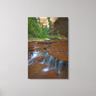 VS, Utah, Zion National Park. Schitterend vanaf 2 Canvas Afdruk