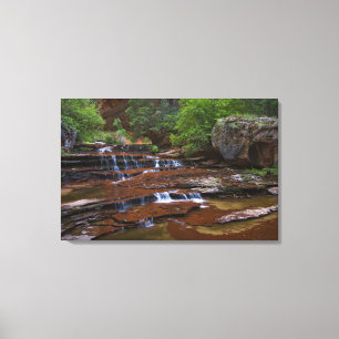 VS, Utah, Zion National Park. Schitterend vanaf 4 Canvas Afdruk