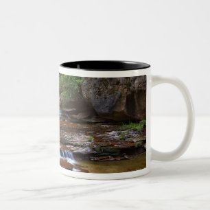 VS, Utah, Zion National Park. Schitterend vanaf 4 Tweekleurige Koffiemok