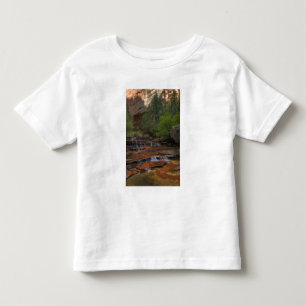 VS, Utah, Zion National Park. Schitterend vanaf de Kinder Shirts
