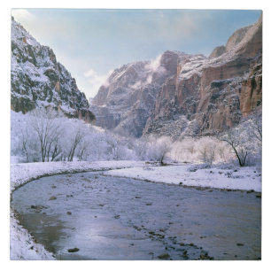 VS, Utah, Zion NP. Nieuwe sneeuw bedekt het canyon Tegeltje