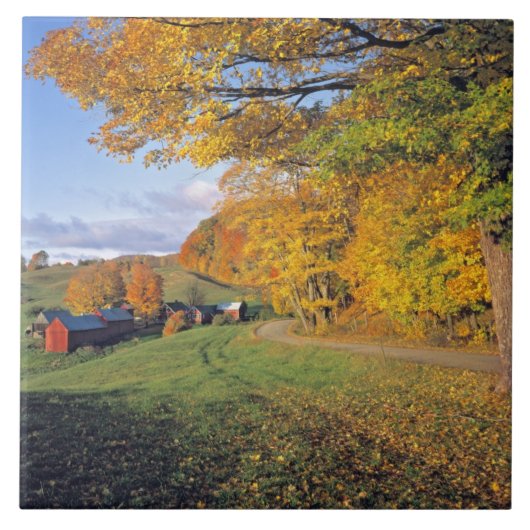 VS, Vermont, Boerderij Jenne. Herfst komt naar Jen Tegeltje (Voorkant)