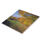 VS, Vermont, Boerderij Jenne. Herfst komt naar Jen Tegeltje (Zijkant)