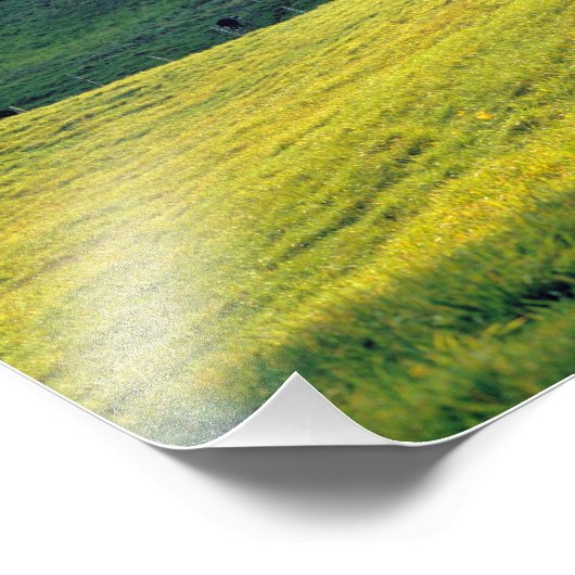 VS, Vermont, Boerderij Jenne. Roterende groene heu Foto Afdruk (Hoek)