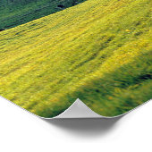 VS, Vermont, Boerderij Jenne. Roterende groene heu Poster (Hoek)