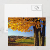 VS, Vermont. Boerderij Schilderachtig nabar South  Briefkaart (Voorkant / Achterkant)