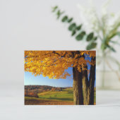 VS, Vermont. Boerderij Schilderachtig nabar South  Briefkaart (Staand voorkant)