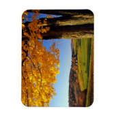 VS, Vermont. Boerderij Schilderachtig nabar South Magneet (Verticaal)