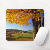 VS, Vermont. Boerderij Schilderachtig nabar South Muismat (Met muis)