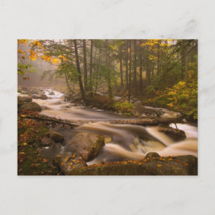 VS, Vermont, East Arlington, Stromende beken 2 Briefkaart